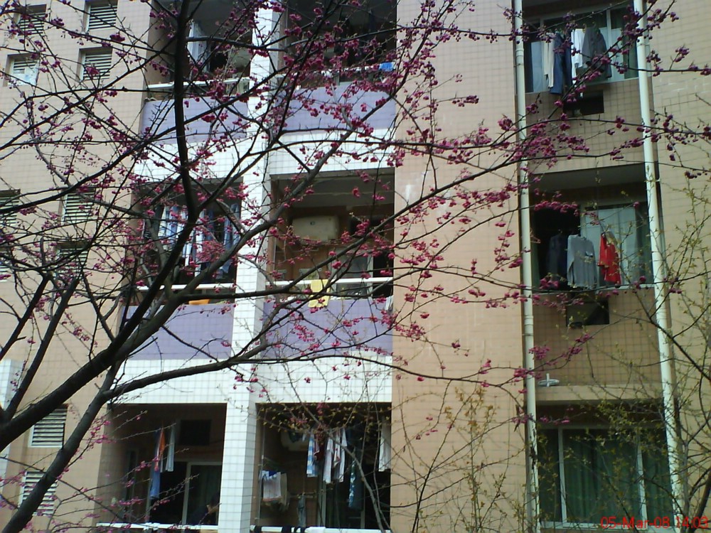 international students studying together on university campus